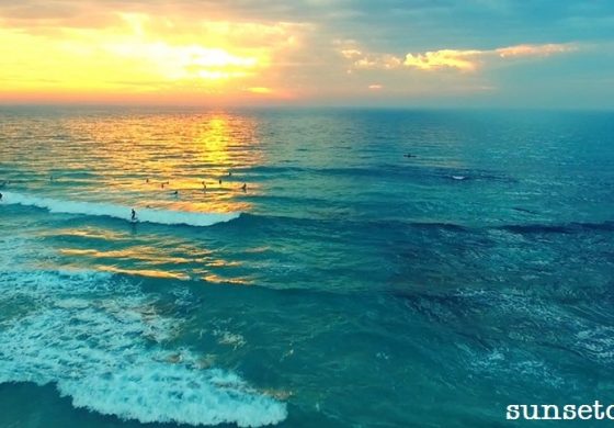 WEST AUS SURF LIFE