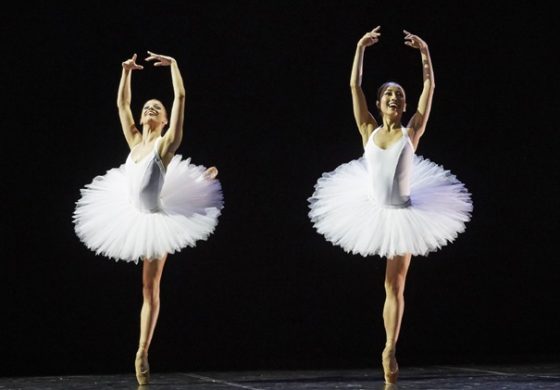 SUNSET COAST CULTURE