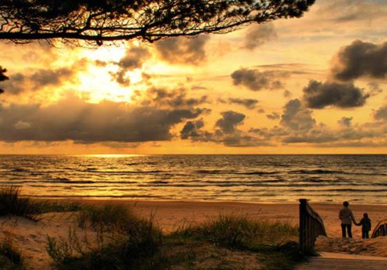 NORTH COAST ROAD TRIP