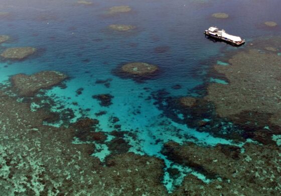WEST OZ HOT SPOTS
