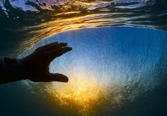 WEST OZ SURF